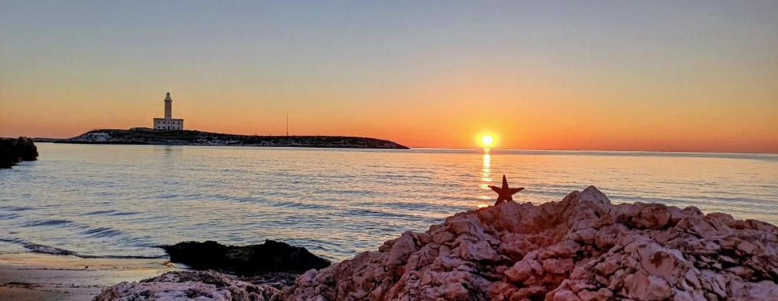 Appartamenti Pina Vieste Dış mekan fotoğraf
